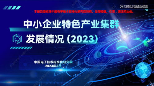中國電子技術標準化研究院2023年中小企業(yè)特色產業(yè)集群發(fā)展情況 聚焦計算機網絡科技技術開發(fā)